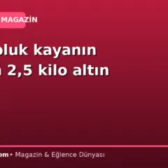 4,5 kiloluk kayanın içinden 2,5 kilo altın çıktı