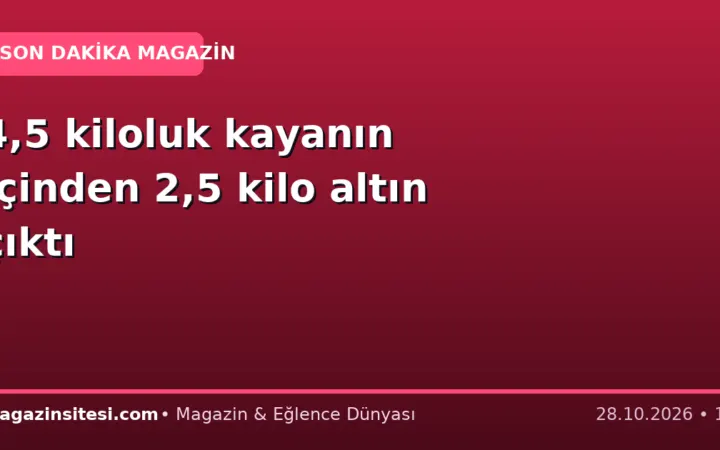 4,5 kiloluk kayanın içinden 2,5 kilo altın çıktı
