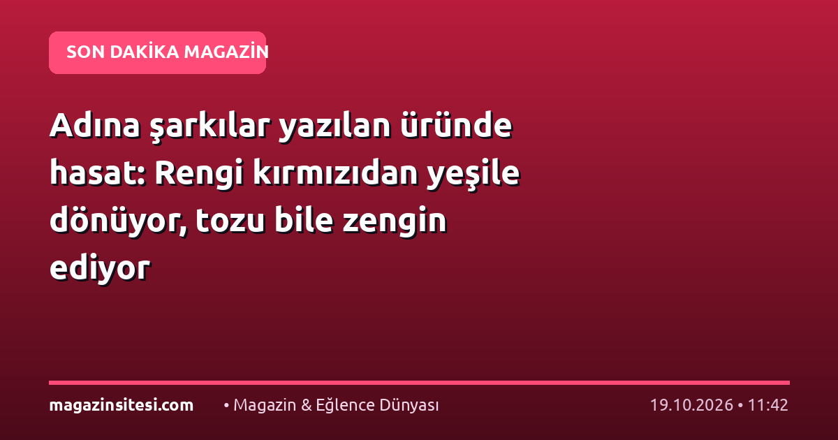 Adına şarkılar yazılan üründe hasat: Rengi kırmızıdan yeşile dönüyor, tozu bile zengin ediyor