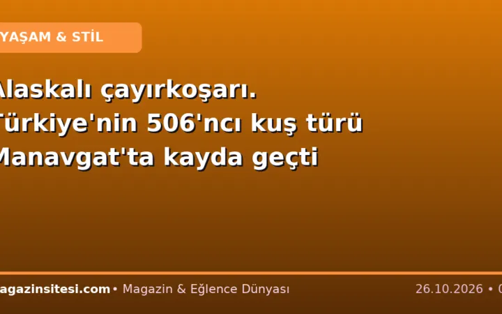 Alaskalı çayırkoşarı. Türkiye’nin 506’ncı kuş türü Manavgat’ta kayda geçti