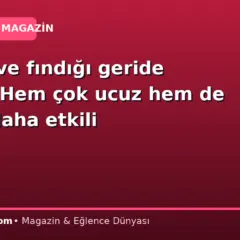 Badem ve fındığı geride bıraktı: Hem çok ucuz hem de iki kat daha etkili