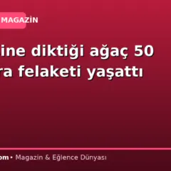 Bahçesine diktiği ağaç 50 yıl sonra felaketi yaşattı