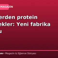 Böceklerden protein üretecekler: Yeni fabrika kuruldu