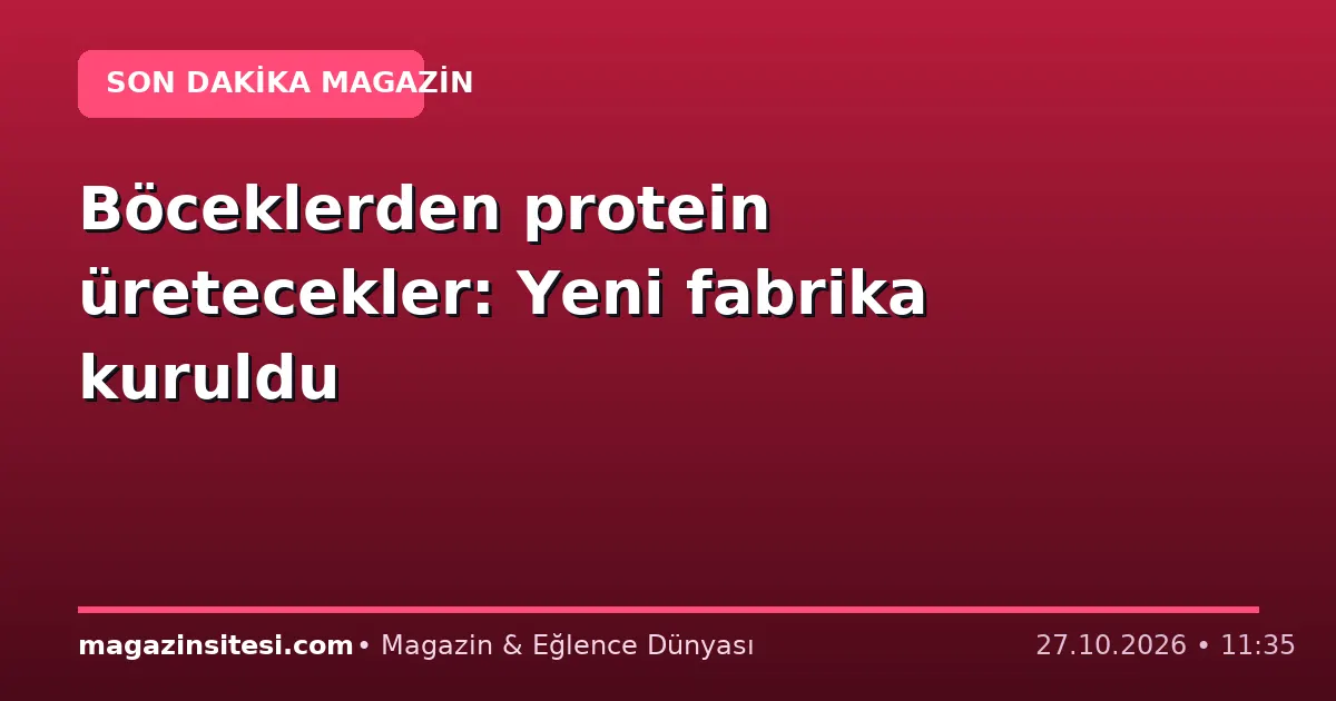 Böceklerden protein üretecekler: Yeni fabrika kuruldu