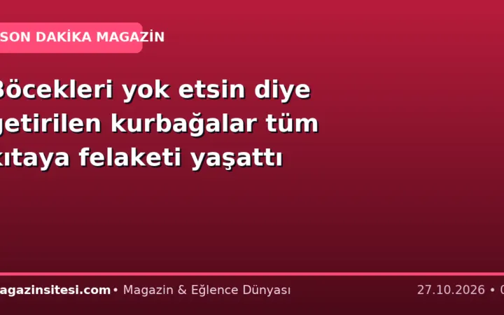 Böcekleri yok etsin diye getirilen kurbağalar tüm kıtaya felaketi yaşattı