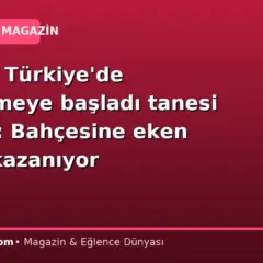 Bilenler Türkiye’de yetiştirmeye başladı tanesi 300 lira: Bahçesine eken servet kazanıyor