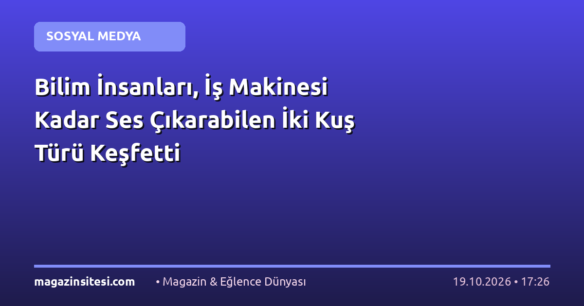 Bilim İnsanları, İş Makinesi Kadar Ses Çıkarabilen İki Kuş Türü Keşfetti