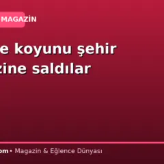 Binlerce koyunu şehir merkezine saldılar