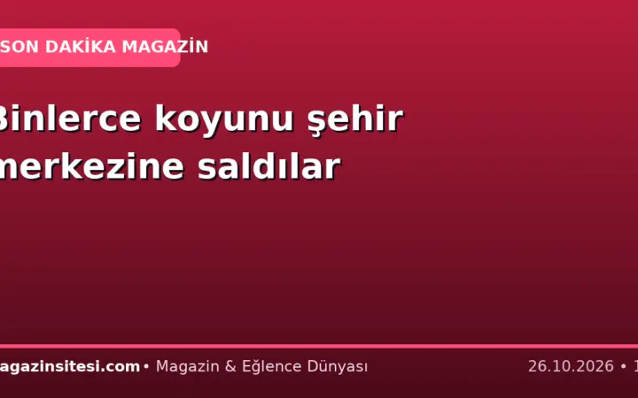 Binlerce koyunu şehir merkezine saldılar