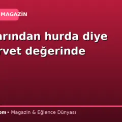 Bitpazarından hurda diye aldı servet değerinde çıktı