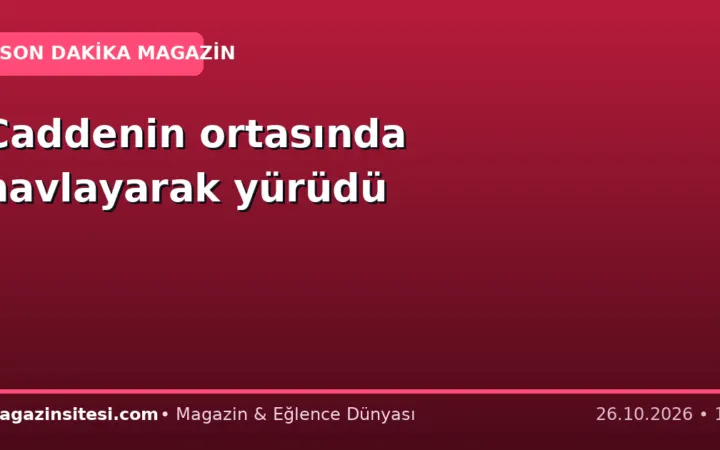 Caddenin ortasında havlayarak yürüdü