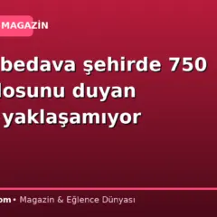 Dağda bedava şehirde 750 lira: Kilosunu duyan yanına yaklaşamıyor