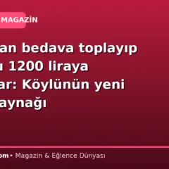 Dağlardan bedava toplayıp kilosunu 1200 liraya satıyorlar: Köylünün yeni geçim kaynağı