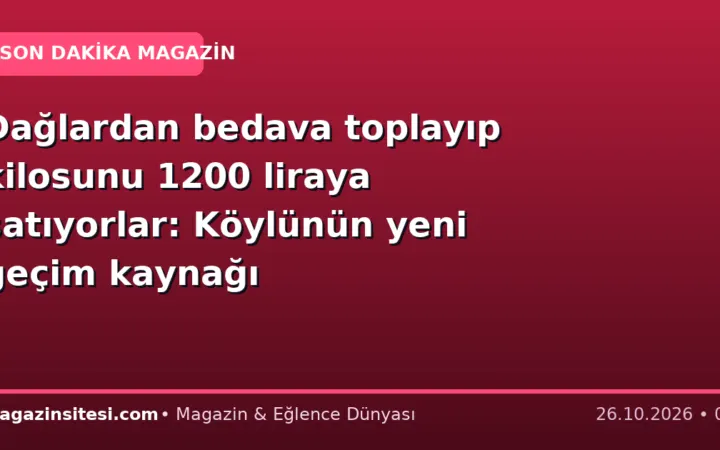 Dağlardan bedava toplayıp kilosunu 1200 liraya satıyorlar: Köylünün yeni geçim kaynağı