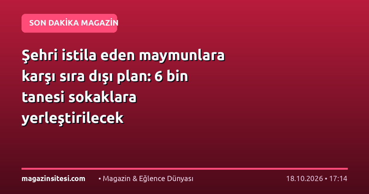 Şehri istila eden maymunlara karşı sıra dışı plan: 6 bin tanesi sokaklara yerleştirilecek