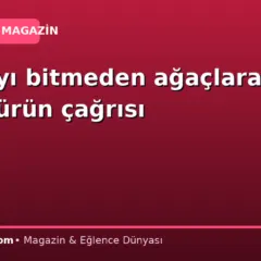 Ekim ayı bitmeden ağaçlara kireç sürün çağrısı