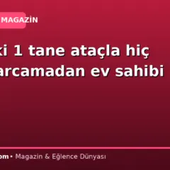 Elindeki 1 tane ataçla hiç para harcamadan ev sahibi oldu