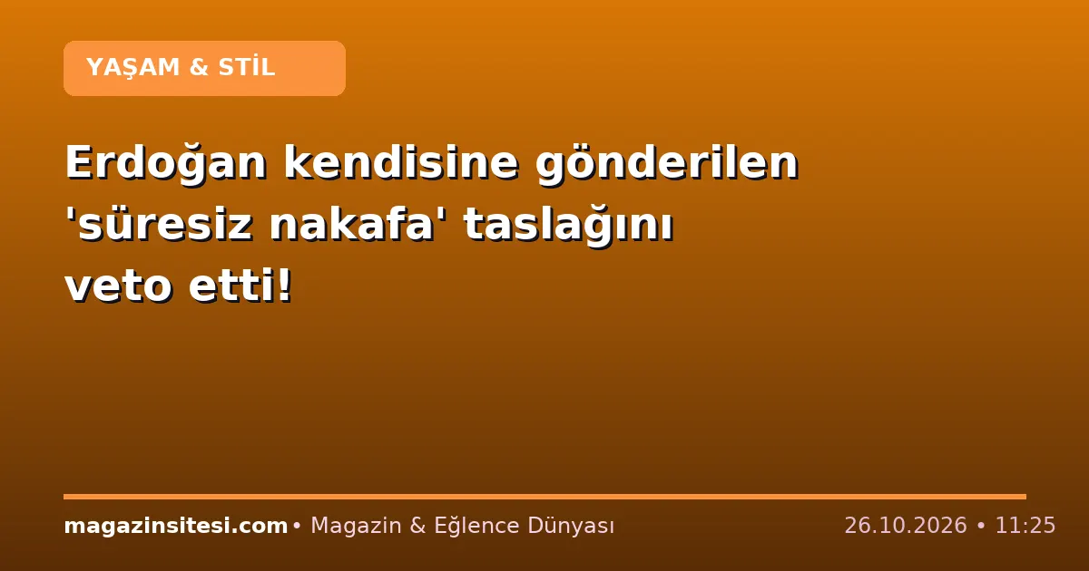 Erdoğan kendisine gönderilen ‘süresiz nakafa’ taslağını veto etti!