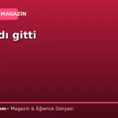 Fink aldı gitti