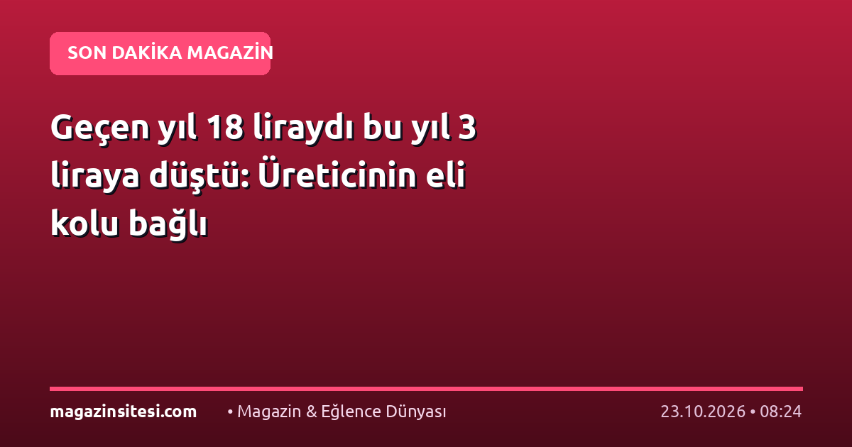 Geçen yıl 18 liraydı bu yıl 3 liraya düştü: Üreticinin eli kolu bağlı