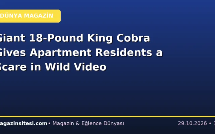 Giant 18-Pound King Cobra Gives Apartment Residents a Scare in Wild Video