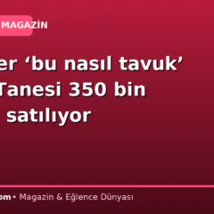 Görenler ‘bu nasıl tavuk’ diyor: Tanesi 350 bin liradan satılıyor