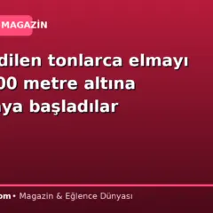 Hasat edilen tonlarca elmayı dağın 300 metre altına bırakmaya başladılar