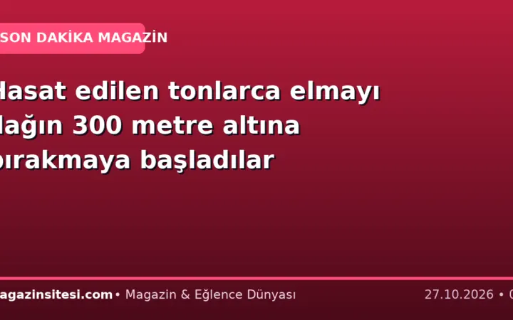 Hasat edilen tonlarca elmayı dağın 300 metre altına bırakmaya başladılar