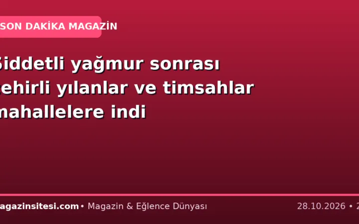 Şiddetli yağmur sonrası zehirli yılanlar ve timsahlar mahallelere indi