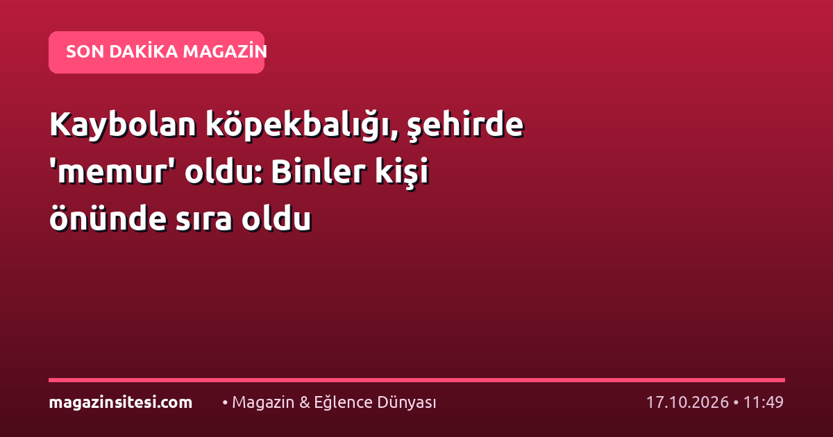 Kaybolan köpekbalığı, şehirde ‘memur’ oldu: Binler kişi önünde sıra oldu
