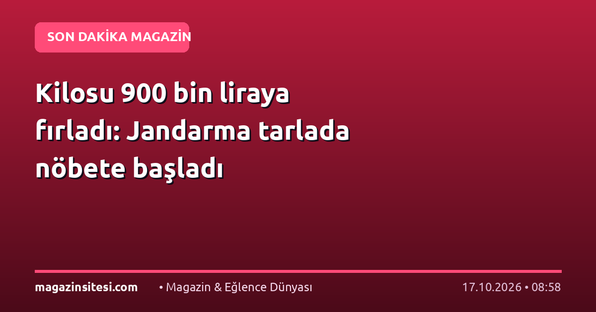 Kilosu 900 bin liraya fırladı: Jandarma tarlada nöbete başladı