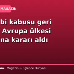 Kuş gribi kabusu geri döndü: Avrupa ülkesi karantina kararı aldı