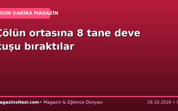 Çölün ortasına 8 tane deve kuşu bıraktılar