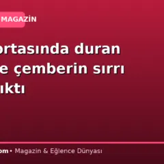 Çölün ortasında duran binlerce çemberin sırrı açığa çıktı