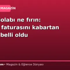 Ne buzdolabı ne fırın: Elektrik faturasını kabartan ev aleti belli oldu