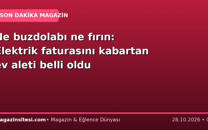 Ne buzdolabı ne fırın: Elektrik faturasını kabartan ev aleti belli oldu