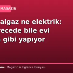 Ne doğalgaz ne elektrik: -20 derecede bile evi hamam gibi yapıyor