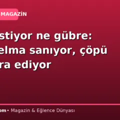 Ne su istiyor ne gübre: Gören elma sanıyor, çöpü bile para ediyor