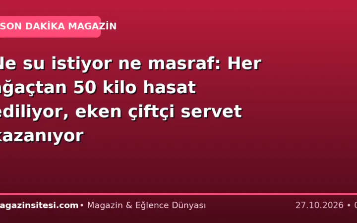 Ne su istiyor ne masraf: Her ağaçtan 50 kilo hasat ediliyor, eken çiftçi servet kazanıyor