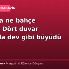 Ne tarla ne bahçe istiyor: Dört duvar arasında dev gibi büyüdü