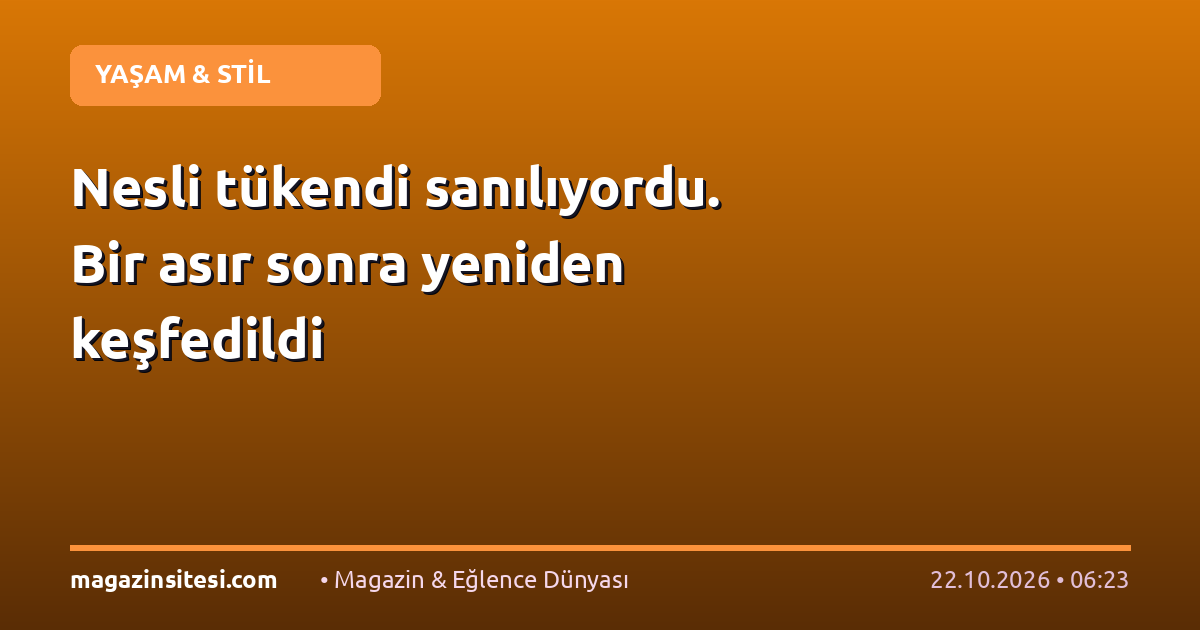 Nesli tükendi sanılıyordu. Bir asır sonra yeniden keşfedildi