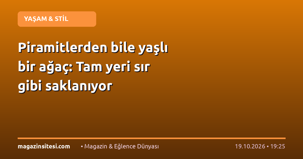 Piramitlerden bile yaşlı bir ağaç: Tam yeri sır gibi saklanıyor