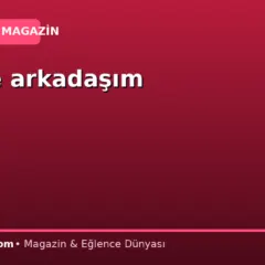 Sadece arkadaşım