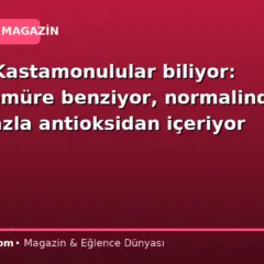 Sadece Kastamonulular biliyor: Rengi kömüre benziyor, normalinden 30 kat fazla antioksidan içeriyor