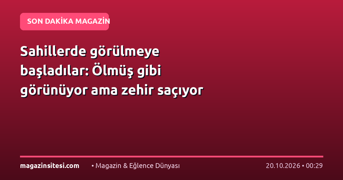 Sahillerde görülmeye başladılar: Ölmüş gibi görünüyor ama zehir saçıyor