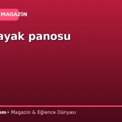 Siyasi ayak panosu