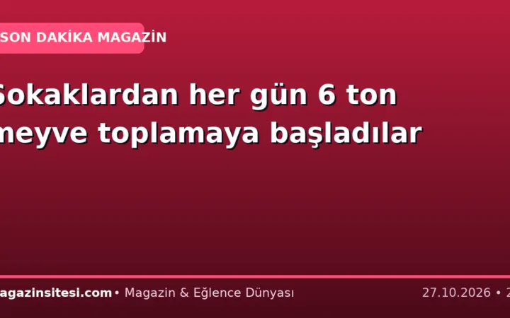 Sokaklardan her gün 6 ton meyve toplamaya başladılar