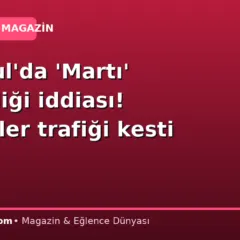 İstanbul’da ‘Martı’ gerginliği iddiası! Taksiciler trafiği kesti