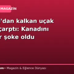 İstanbul’dan kalkan uçak sürüye çarptı: Kanadını görenler şoke oldu