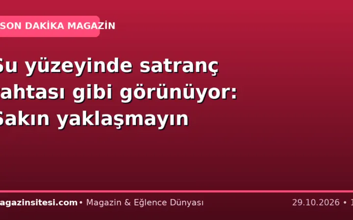 Su yüzeyinde satranç tahtası gibi görünüyor: Sakın yaklaşmayın